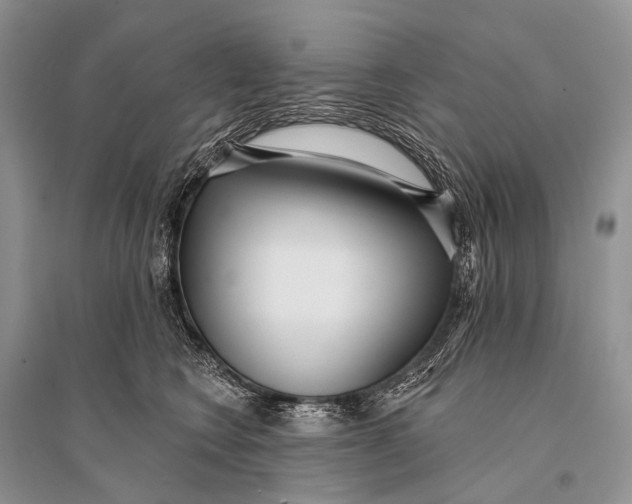 X0000094920566200712201222