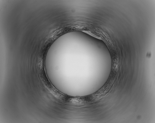 X0000094920568200712201222