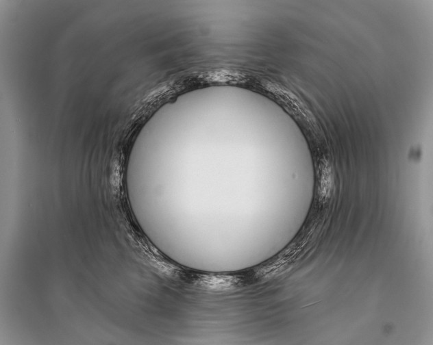 X0000094920569200712201222
