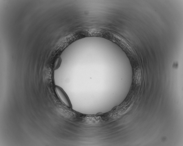 X0000094920571200712201222