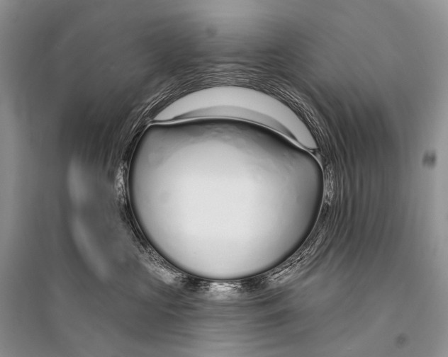 X0000094920573200712201222