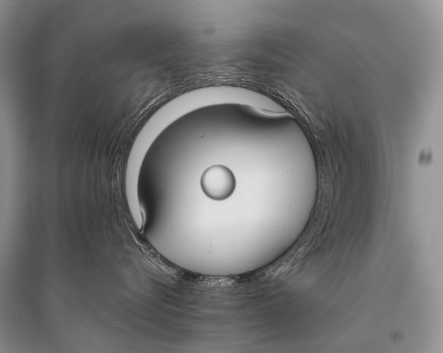 X0000094920576200712201222