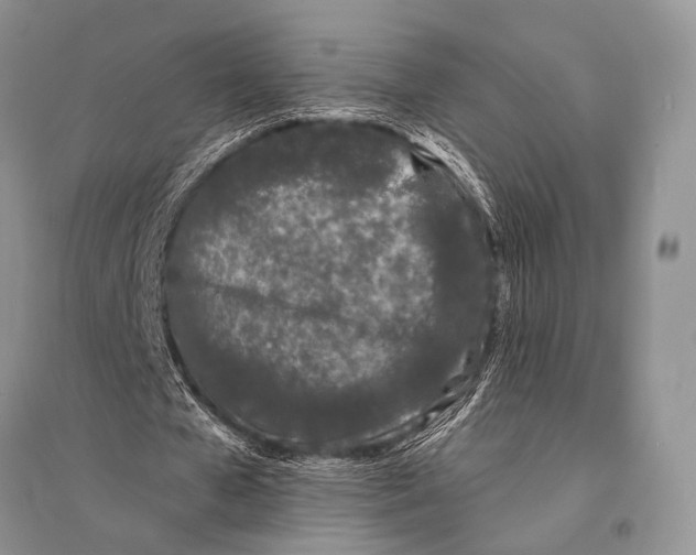 X0000094920577200712201222