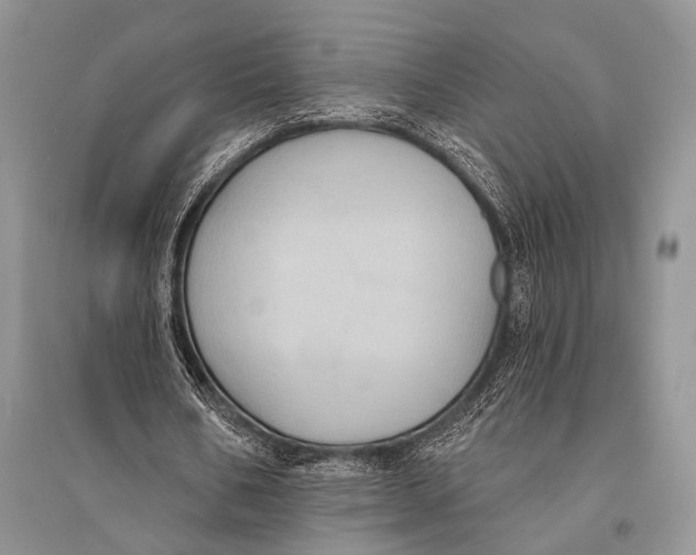 X0000094920578200712201222