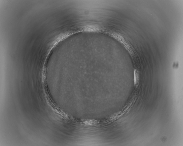 X0000094920579200712201222