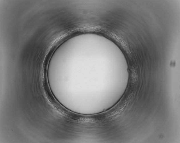 X0000094920582200712201222