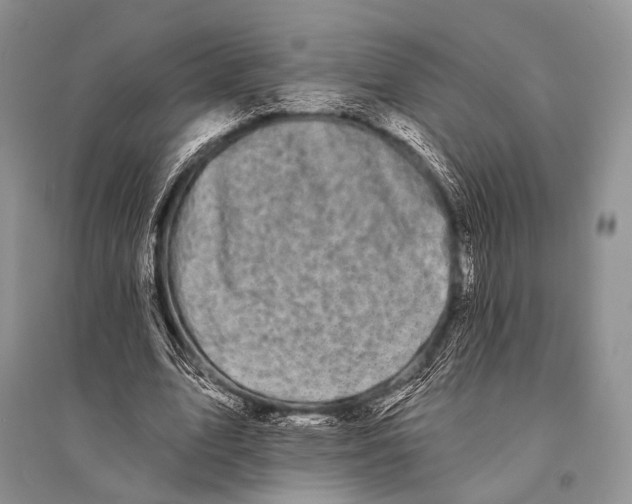 X0000094920583200712201222
