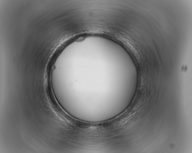 X0000094920584200712201221
