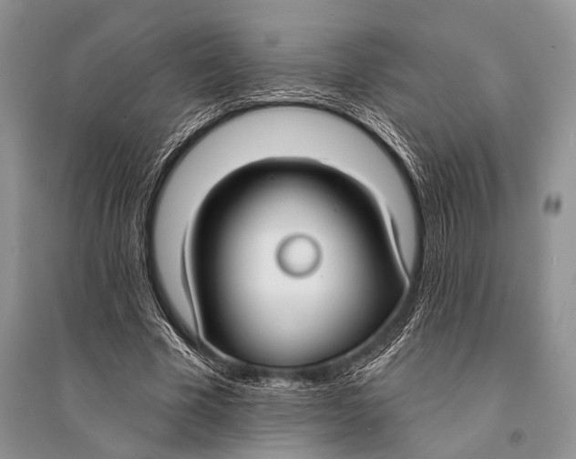 X0000094920585200712201221