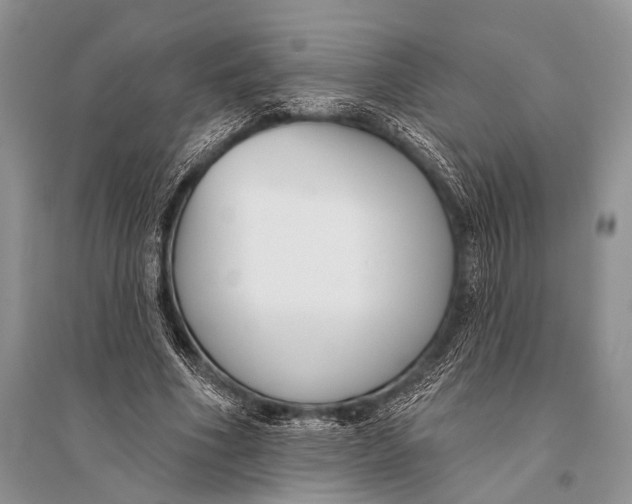 X0000094920586200712201221