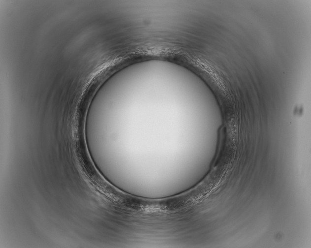 X0000094920587200712201221