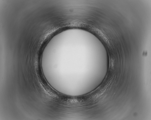 X0000094920588200712201221