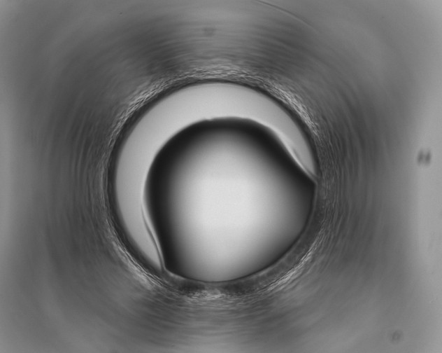 X0000094920589200712201221