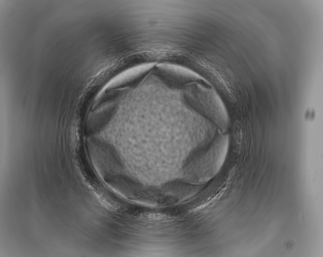 X0000094920590200712201221