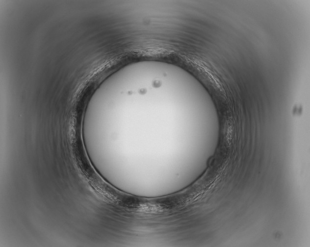 X0000094920591200712201221