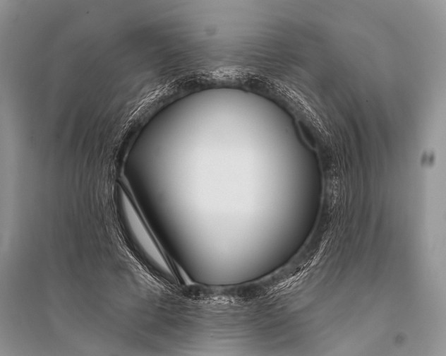 X0000094920593200712201221