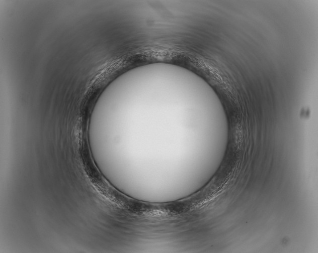 X0000094920594200712201221
