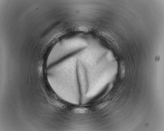 X0000094920595200712201221