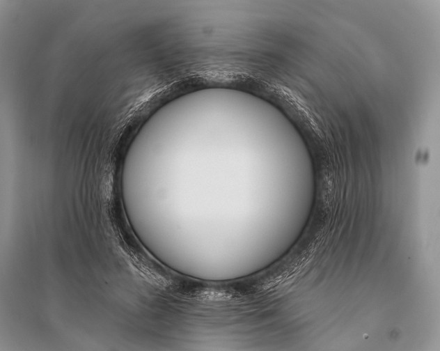 X0000094920596200712201221