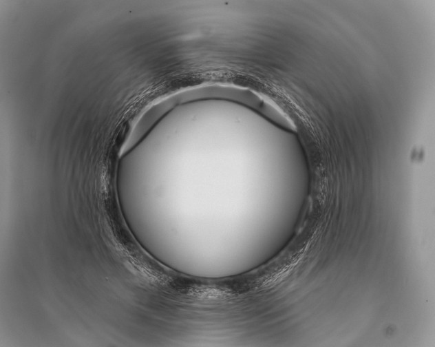 X0000094920597200712201221
