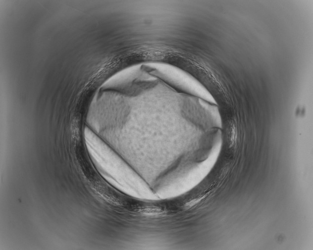 X0000094920598200712201221