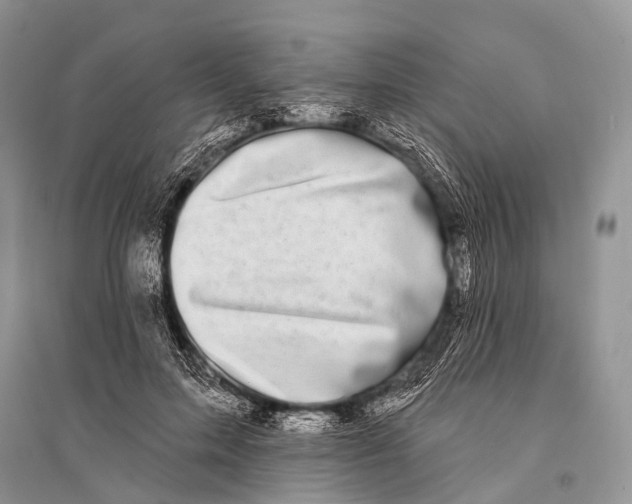 X0000094920599200712201221