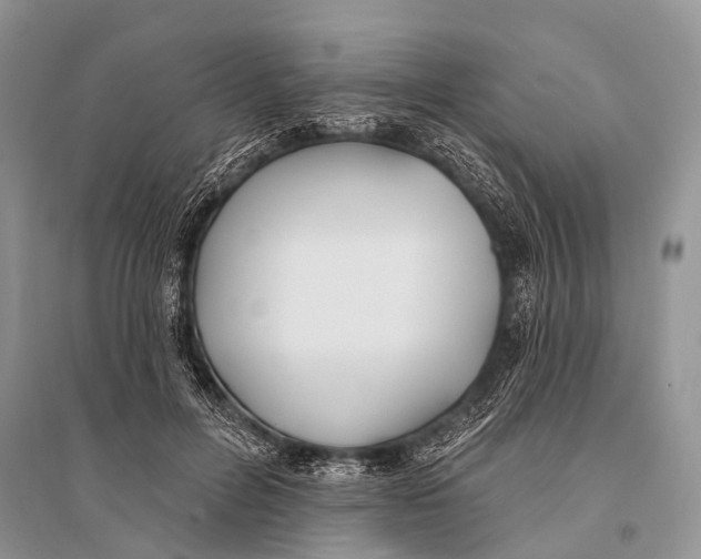 X0000094920600200712201221
