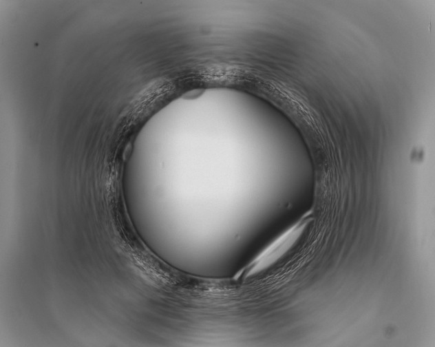 X0000094920601200712201221