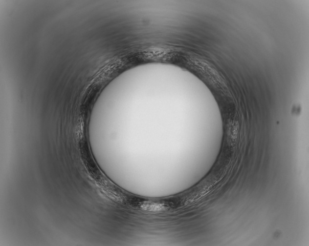 X0000094920602200712201221
