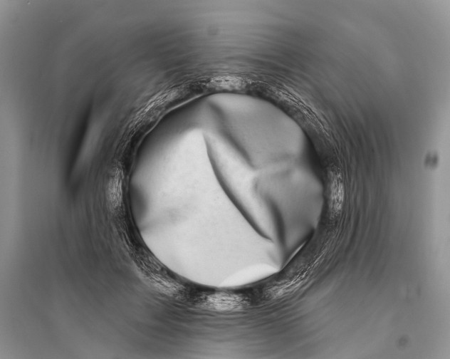 X0000094920603200712201221