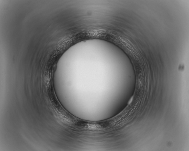 X0000094920605200712201221
