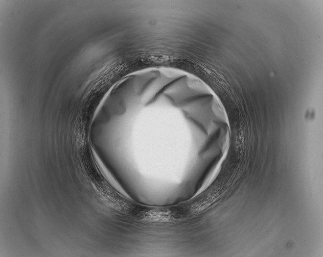 X0000094920606200712201221