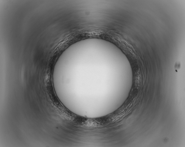 X0000094920608200712201221