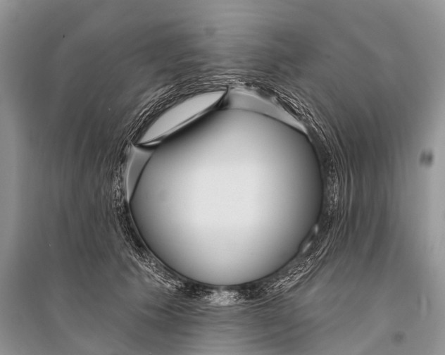 X0000094920609200712201221
