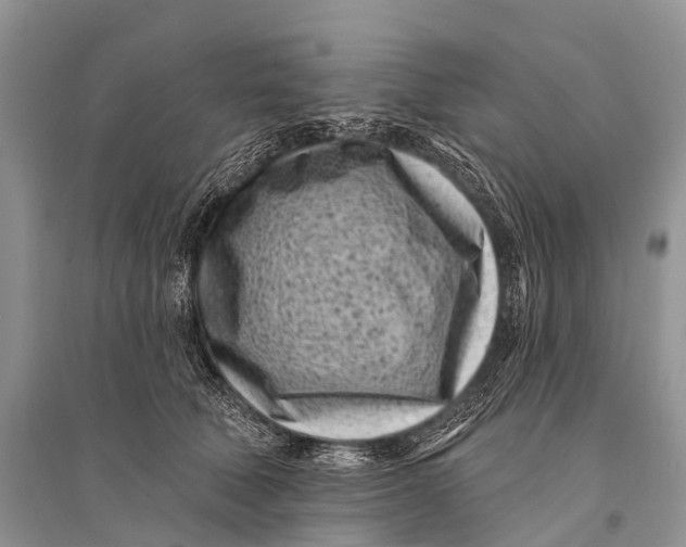 X0000094920610200712201221