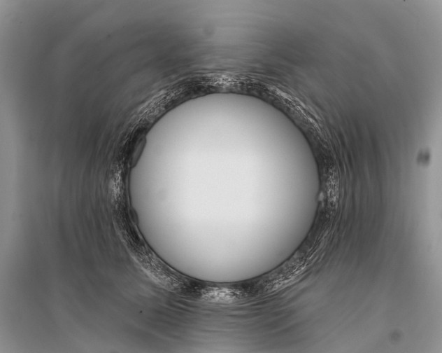 X0000094920611200712201221