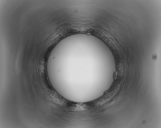 X0000094920612200712201221