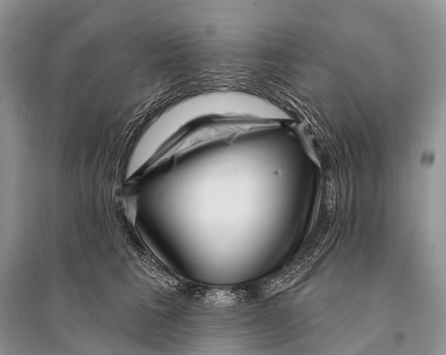 X0000094920613200712201221