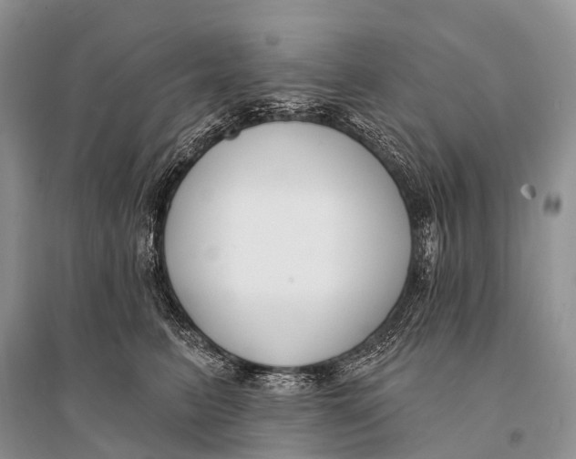 X0000094920615200712201221