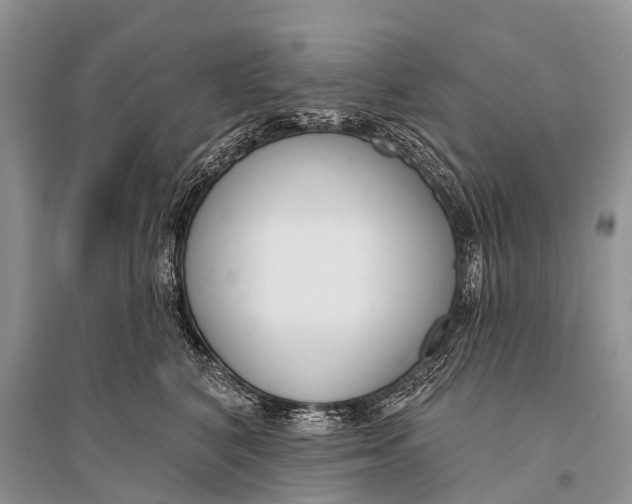 X0000094920616200712201221