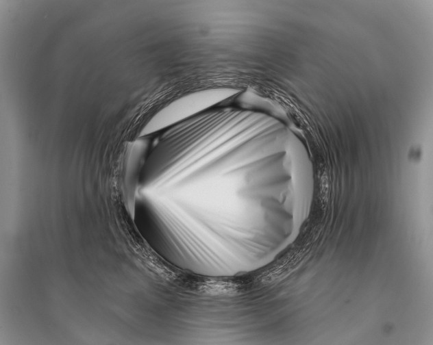 X0000094920617200712201221