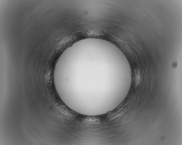 X0000094920619200712201221