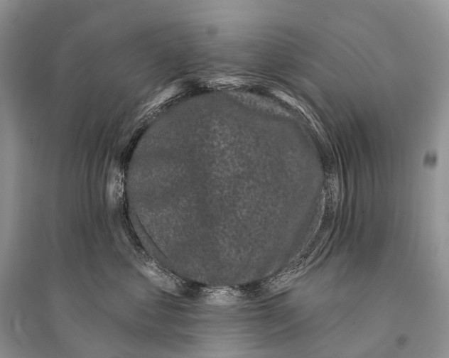 X0000094920621200712201221