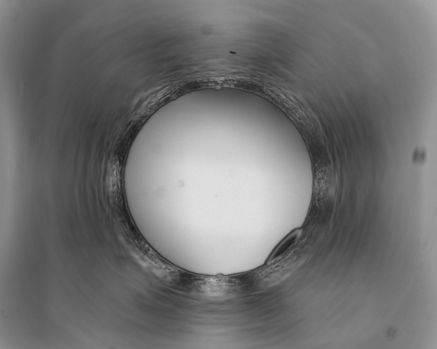 X0000094920623200712201221