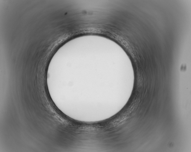 X0000094920625200712201220