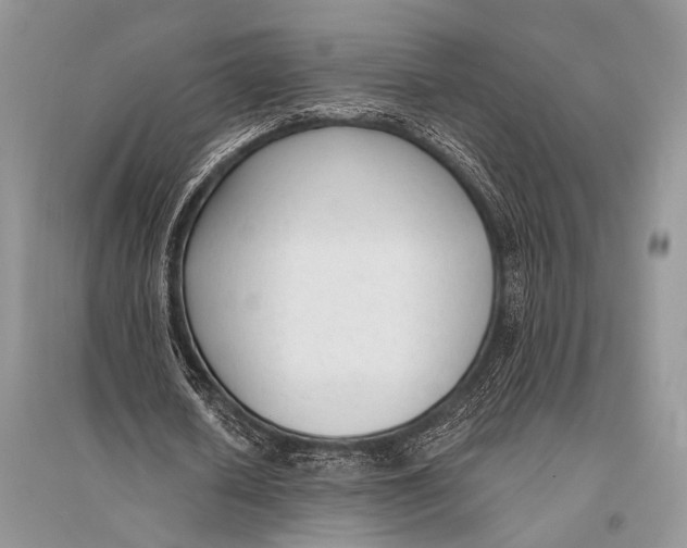 X0000094920626200712201220