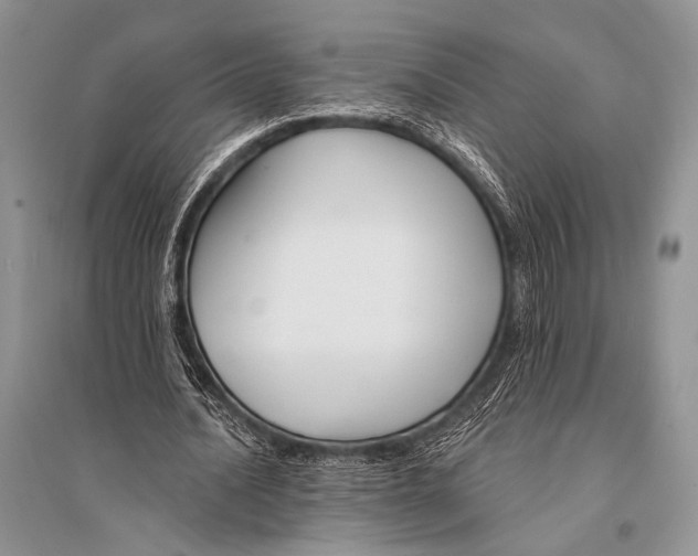 X0000094920628200712201220