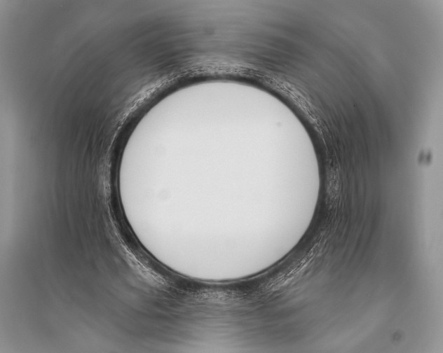 X0000094920629200712201220