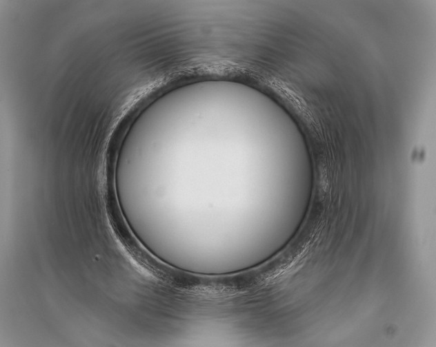 X0000094920630200712201220
