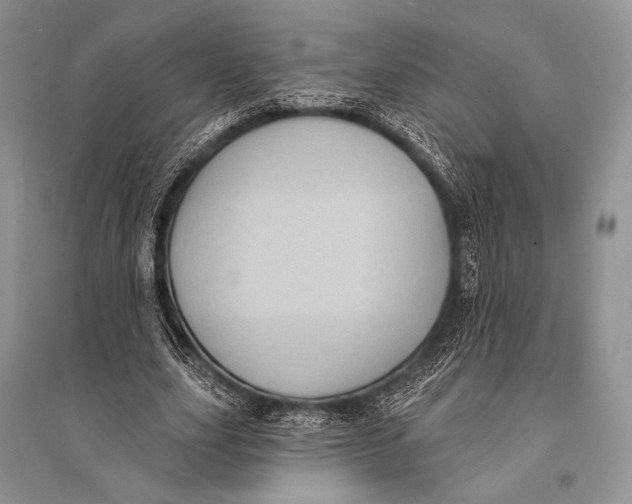 X0000094920631200712201220